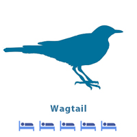 Wagtail