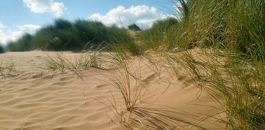 Saunton Sands Farm Holiday Cottages